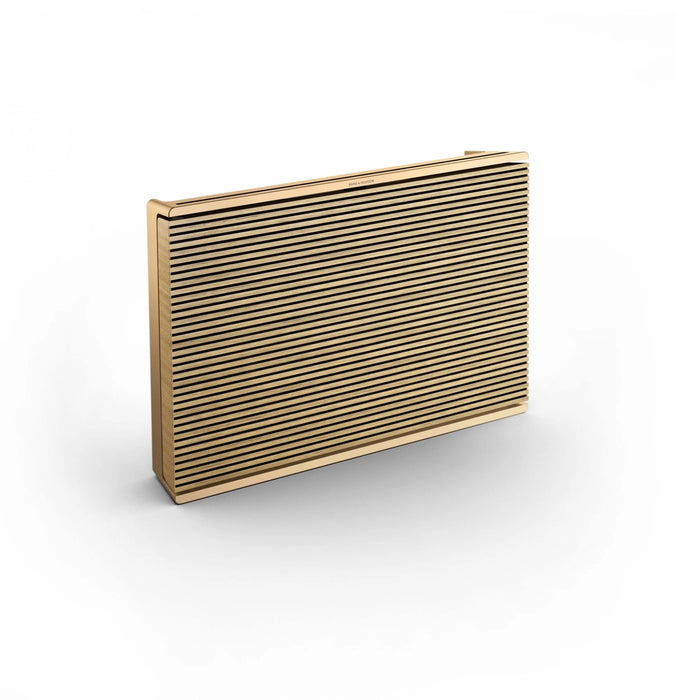 B&O Beosound Level - Portable Wireless Speaker - The Audio Co.