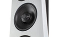 Definitive Technology Demand D17 - Floorstanding Speaker (Pair) - The Audio Co.