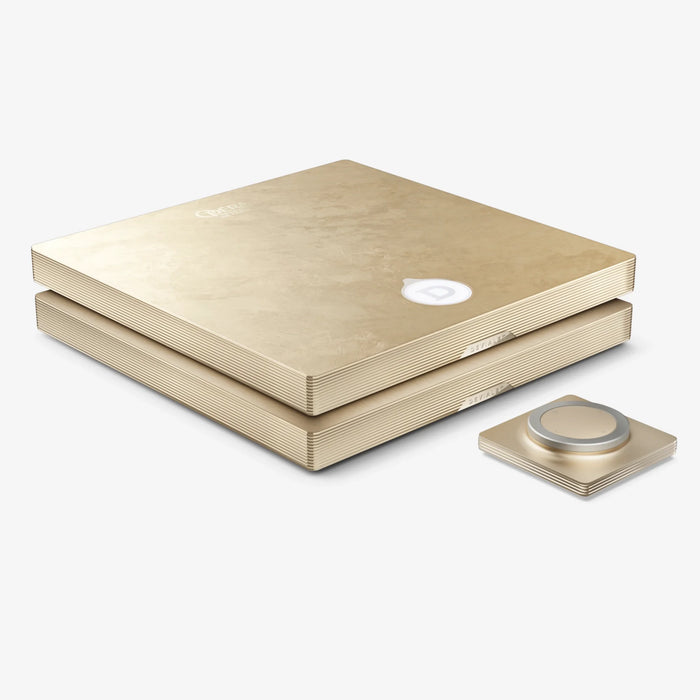 Devialet ASTRA Integrated Amplifier - Opéra de Paris / Dual - Network Amplifier