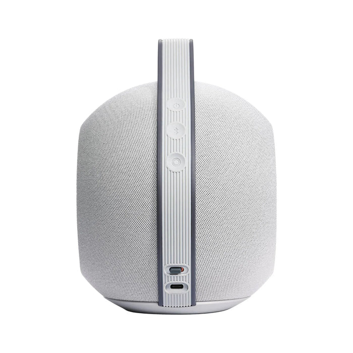 Devialet Mania Portable Wireless Speaker - The Audio Co.