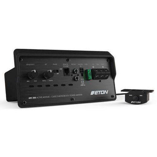 Eton AM 300 - Amplifier Upgrade Kit for RES 10 P - The Audio Co.