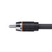Eton Performance 2 Channel RCA Interconnect Cable - Cable