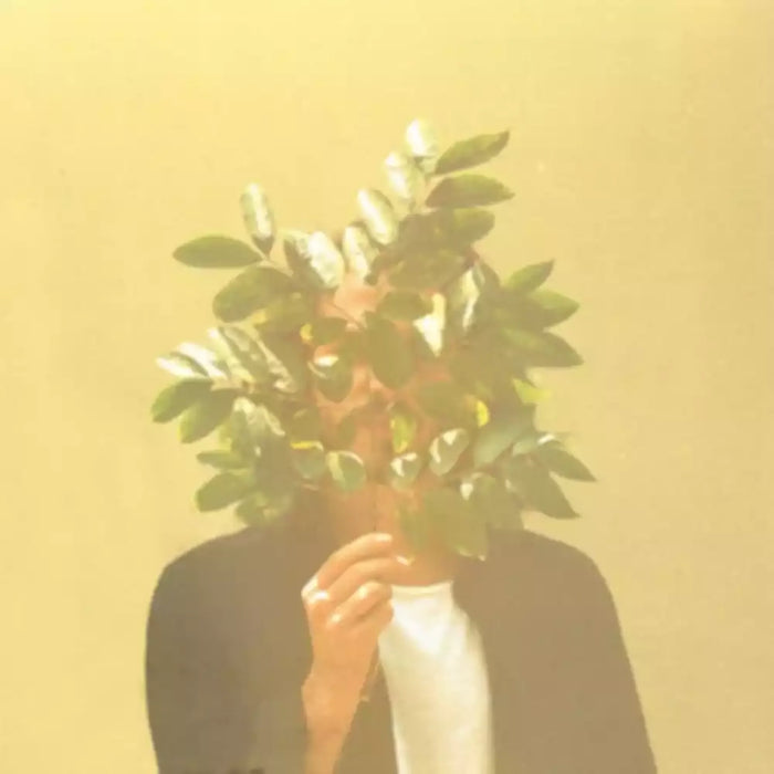 FKJ - French Kiwi Juice - 12inch 180g Vinyl 2LP - Music