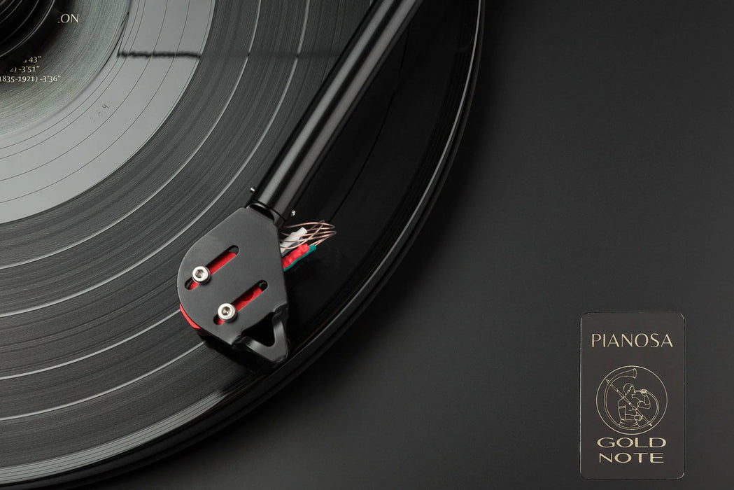 Gold Note Pianosa - Vinyl Turntable - The Audio Co.