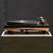 Gold Note Pianosa - Vinyl Turntable - Turntable