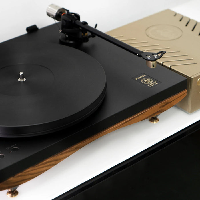 Gold Note Pianosa - Vinyl Turntable - Turntable