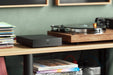 HEGEL V10 Phono Preamplifier - Phono Preamp