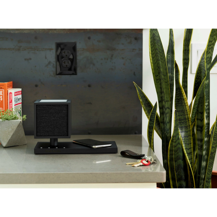 Tivoli Audio Revive Bluetooth Speaker