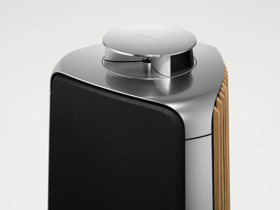 B&O Beolab 50 Active Floorstanding Speaker System