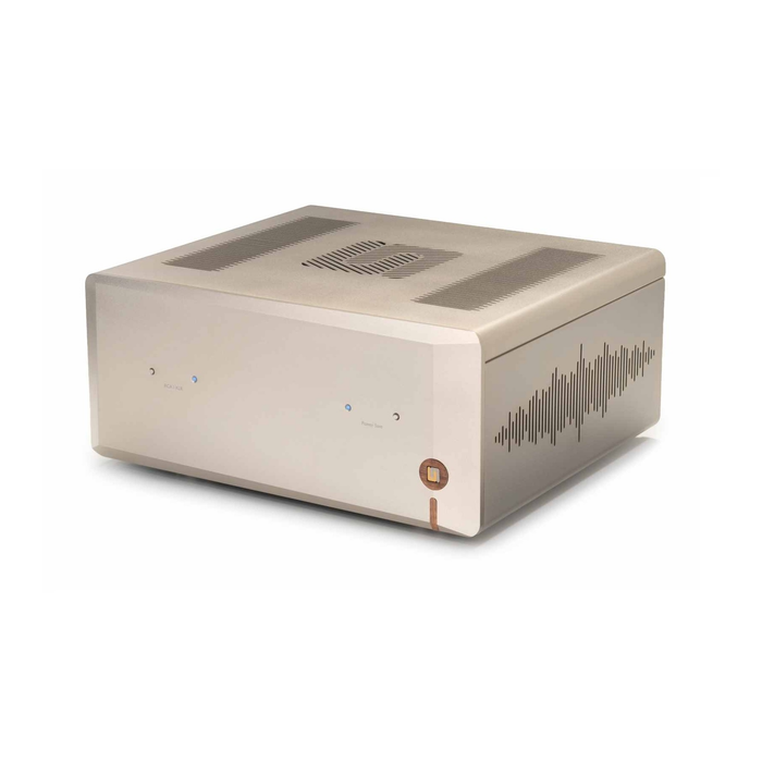 Unison Research Unico DM v2 Power Amplifier