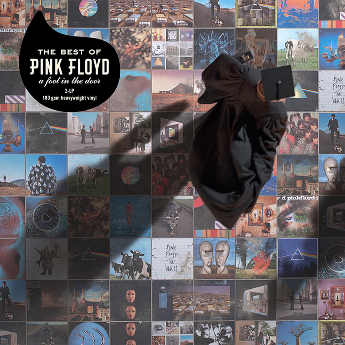 Pink Floyd - The Best Of Pink Floyd : A Foot In The Door