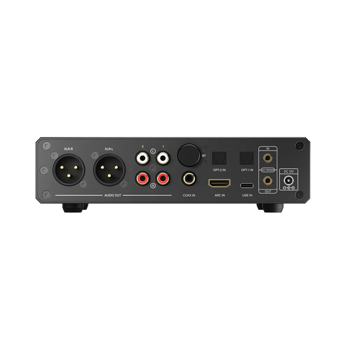 AIYIMA D20 Fully Balanced Dual-Chip DAC