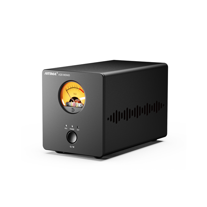 AIYIMA A20 Mono Balanced Power Amplifier