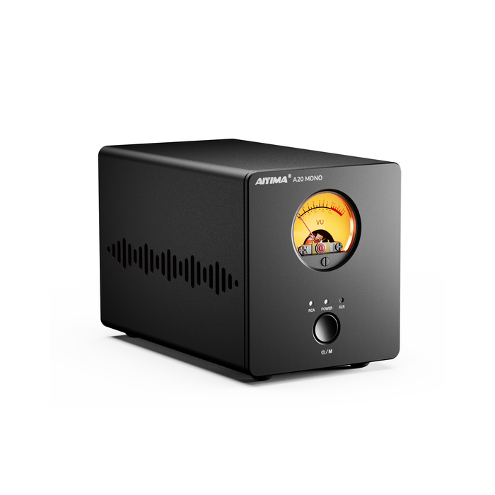 AIYIMA A20 Mono Balanced Power Amplifier