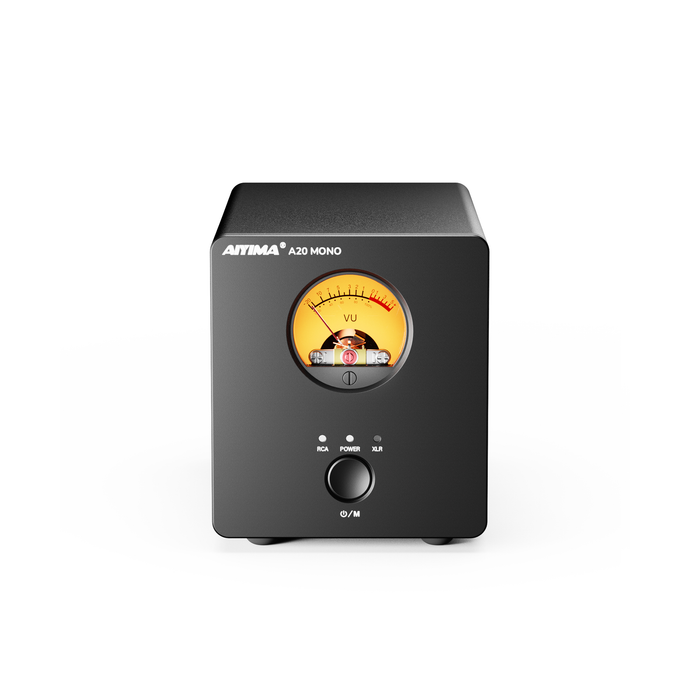 AIYIMA A20 Mono Balanced Power Amplifier