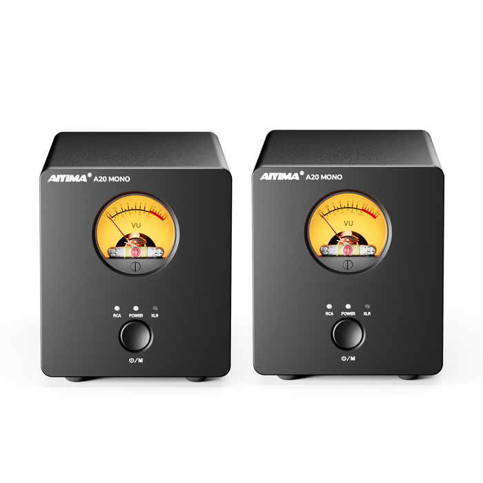 AIYIMA A20 Mono Balanced Power Amplifier