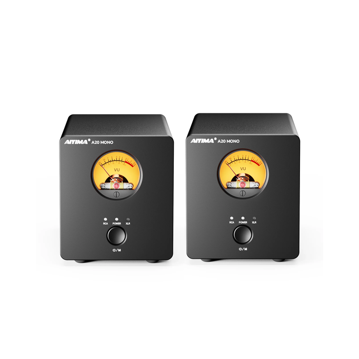 AIYIMA A20 Mono Balanced Power Amplifier