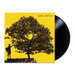 Jack Johnson - In Between Dreams | The Audio Co.
