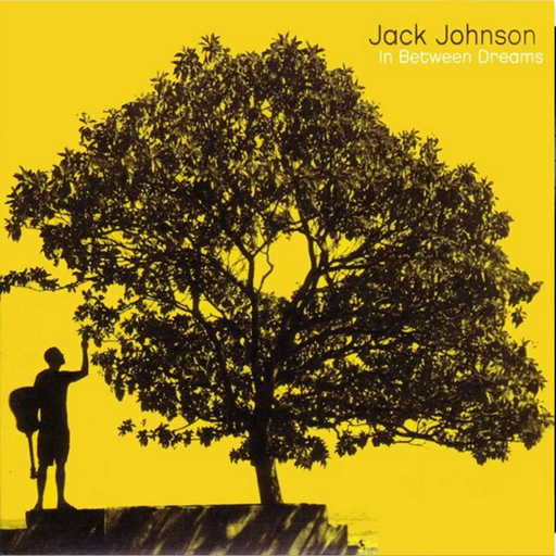 Jack Johnson - In Between Dreams - 12inch Vinyl 2LP - Music