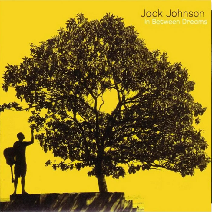 Jack Johnson - In Between Dreams | The Audio Co.