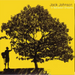 Jack Johnson - In Between Dreams | The Audio Co.