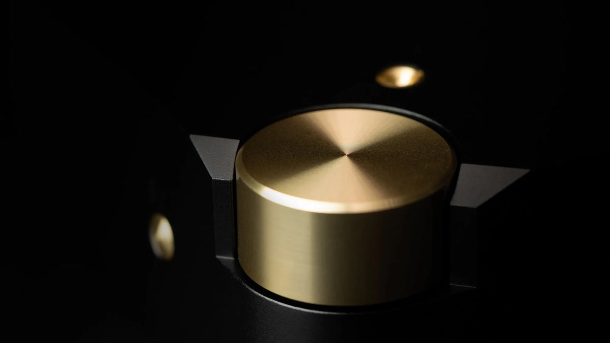 LAiV Harmony DAC R2R Digital to Analog Convertor - DAC