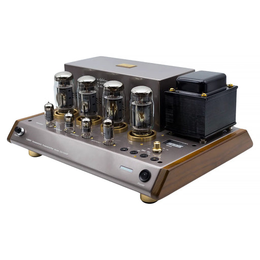 Leben CS-1000P Tube Power amplifier - Power Amplifier