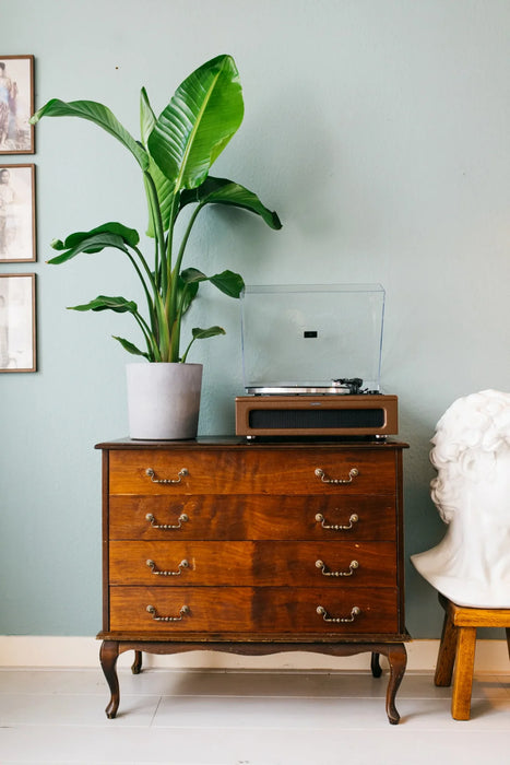 LENCO LS-430 Record Player with Built-in Speakers - Turntable