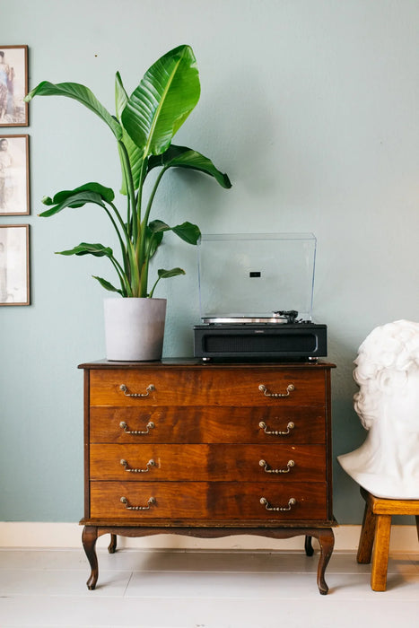 LENCO LS-430 Record Player with Built-in Speakers - Turntable