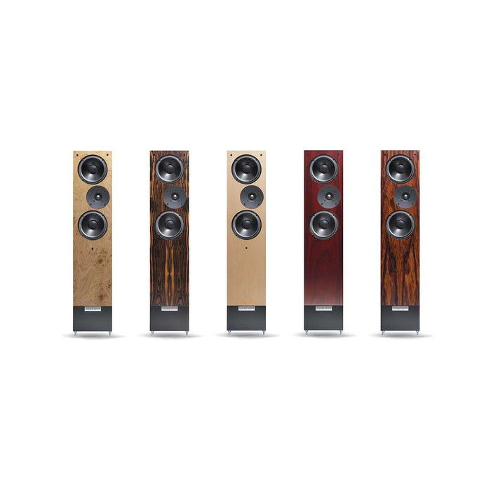 Living Voice Auditorium Avatar R4 Floorstanding Speaker (Pair) - The Audio Co.