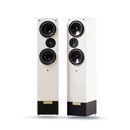 Living Voice Auditorium R25 Anniversary Floorstanding Speaker (Pair) - The Audio Co.