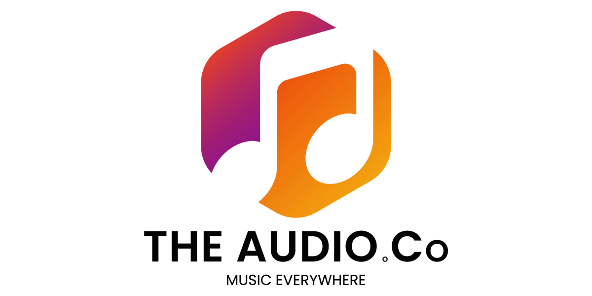 Phono Amplifiers TheAudioCo India — The Audio Co.