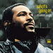 Marvin Gaye - What’s Going - 12inch 180g Vinyl LP - Music