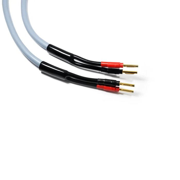 Melodika Purple 'Gunmetal Edition' Speaker Cable | The Audio Co.