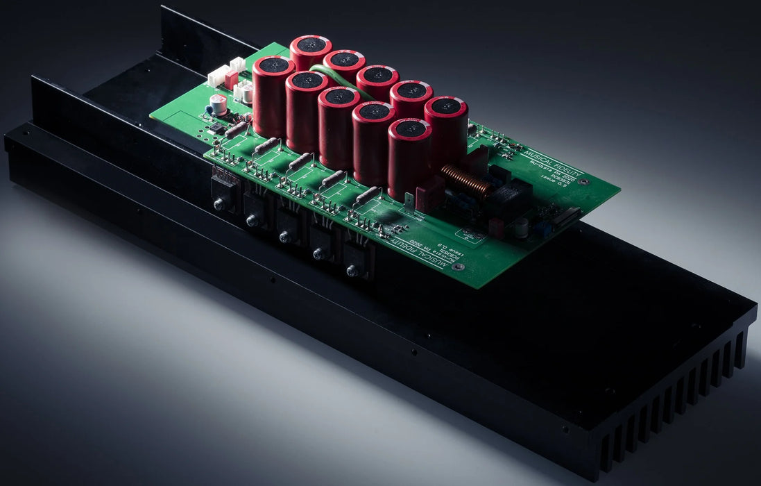 Nu-Vista PAM Monoblock Power Amplifier - Power Amplifier