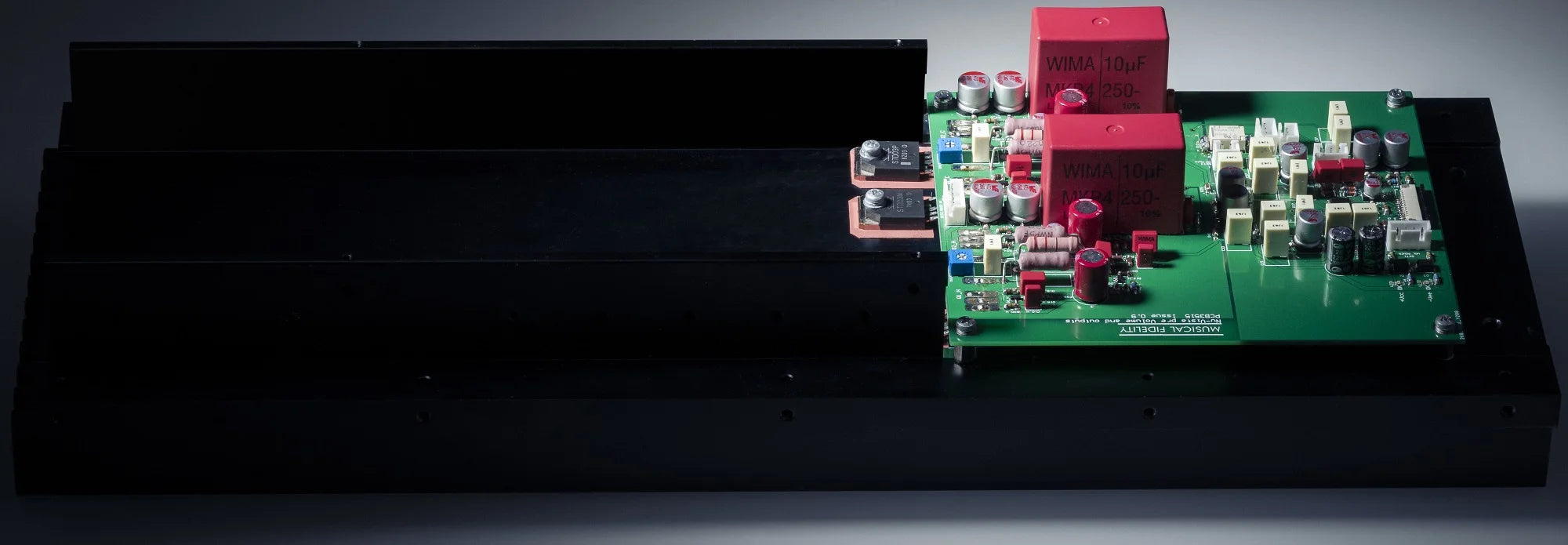 Nu-Vista PAM Monoblock Power Amplifier - Power Amplifier