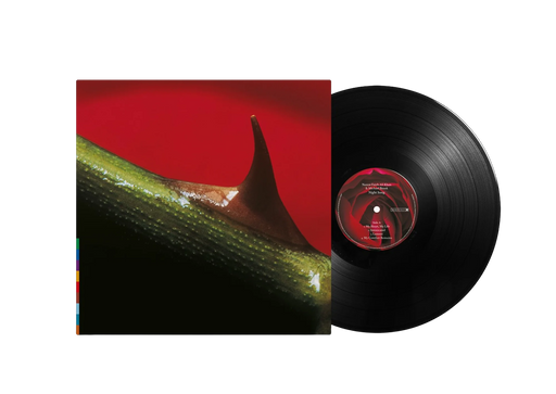 Nusrat Fateh Ali Khan - Night Song - 180g Vinyl - Music