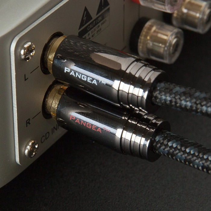 Pangea Premier Interconnect - RCA Interconnect Cable - The Audio Co.