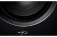 Paradigm Defiance X10 - 10inch Powered Subwoofer - The Audio Co.