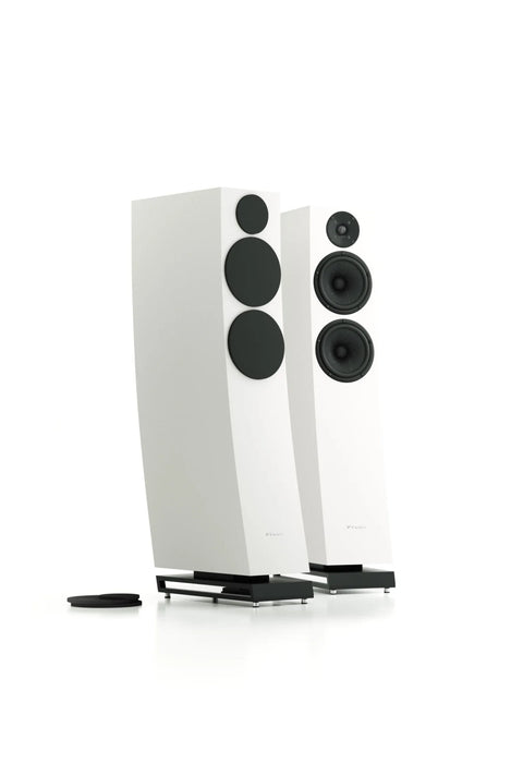 Pylon Audio Jasper 25 mkII- Floorstanding Speaker (Pair) - The Audio Co.