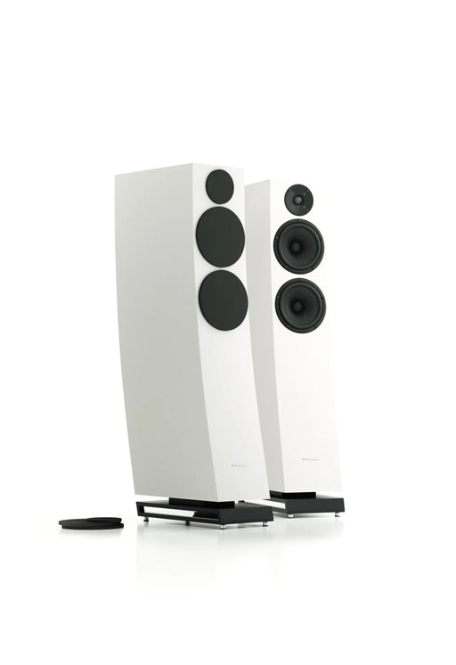 Pylon Audio Jasper 25 mkII- Floorstanding Speaker (Pair) | The Audio Co.