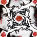 Red Hot Chili Peppers – Blood Sugar Sex Magik - 180g Vinyl 2LP - Music
