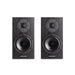 Spendor AW1 On-Wall Speakers [Pair] - Home Speaker