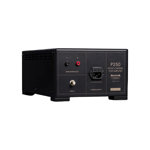 Spotless P250 Monoblock Power Amplifier - Power Amplifier