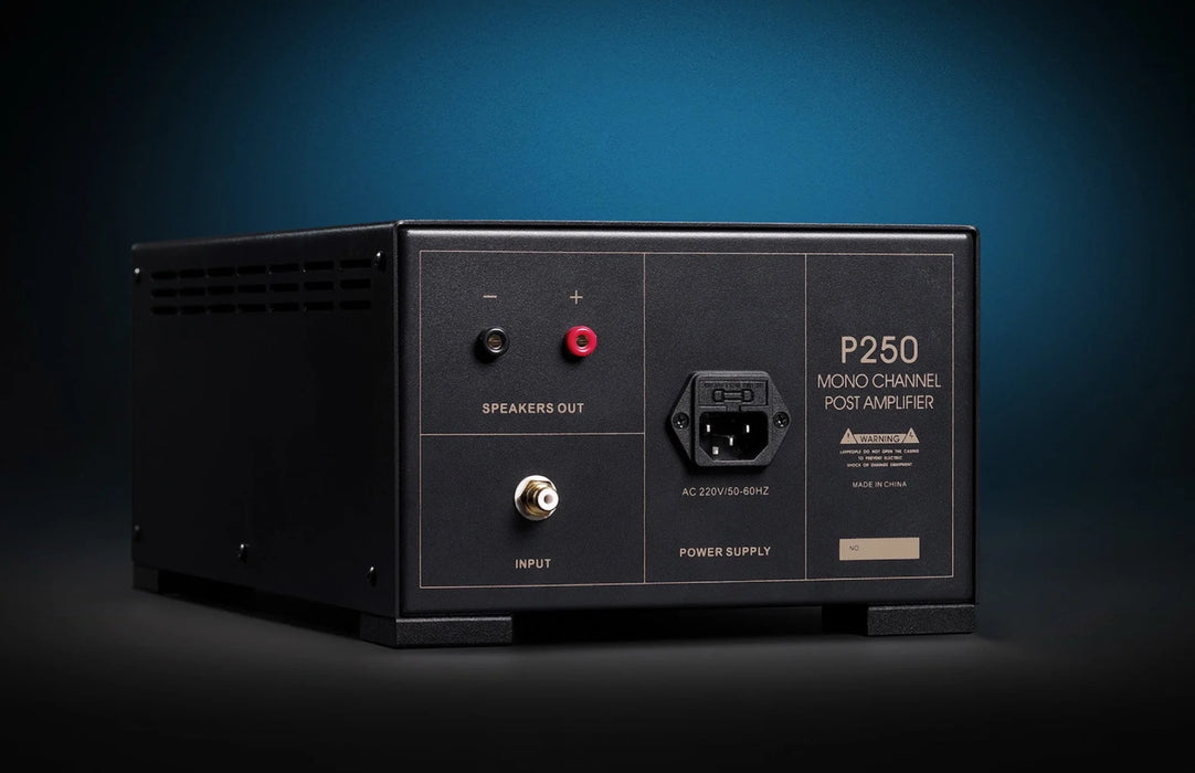 Spotless P250 Monoblock Power Amplifier - Power Amplifier