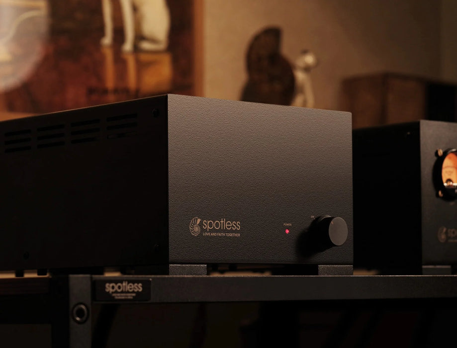 Spotless P250 Monoblock Power Amplifier - Power Amplifier