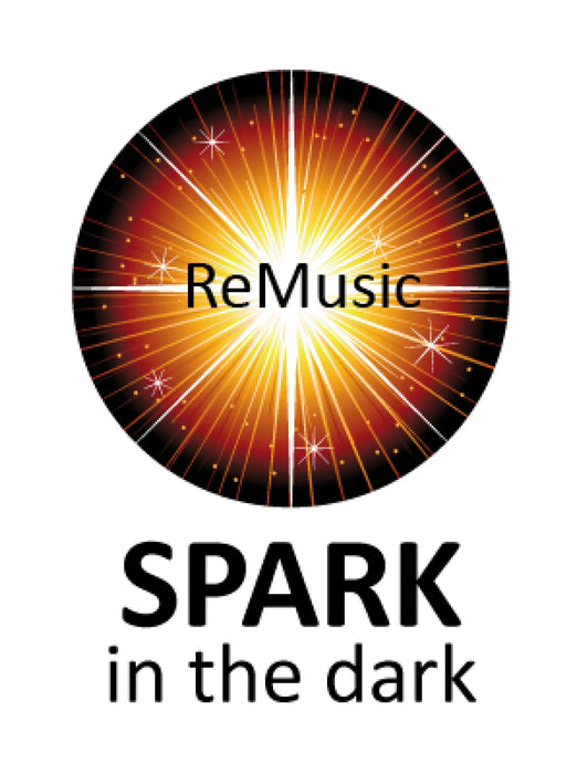 Tiglon MZ-Grande Isolation Feet - Home Audio Accessories