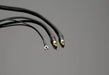 Transparent Link Phono Interconnect Cable - The Audio Co.