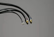 Transparent Link Phono Interconnect Cable - The Audio Co.