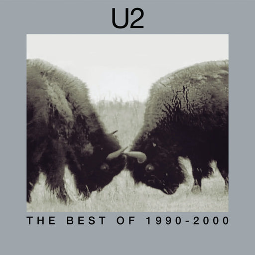 U2 The Best Of 1990 2000 180g Vinyl 2LP Music